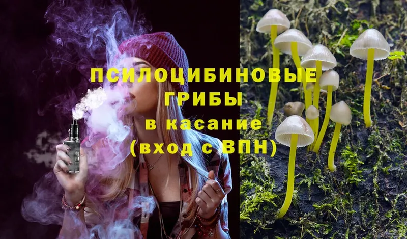 blacksprut ТОР  Камешково  Псилоцибиновые грибы Psilocybe 